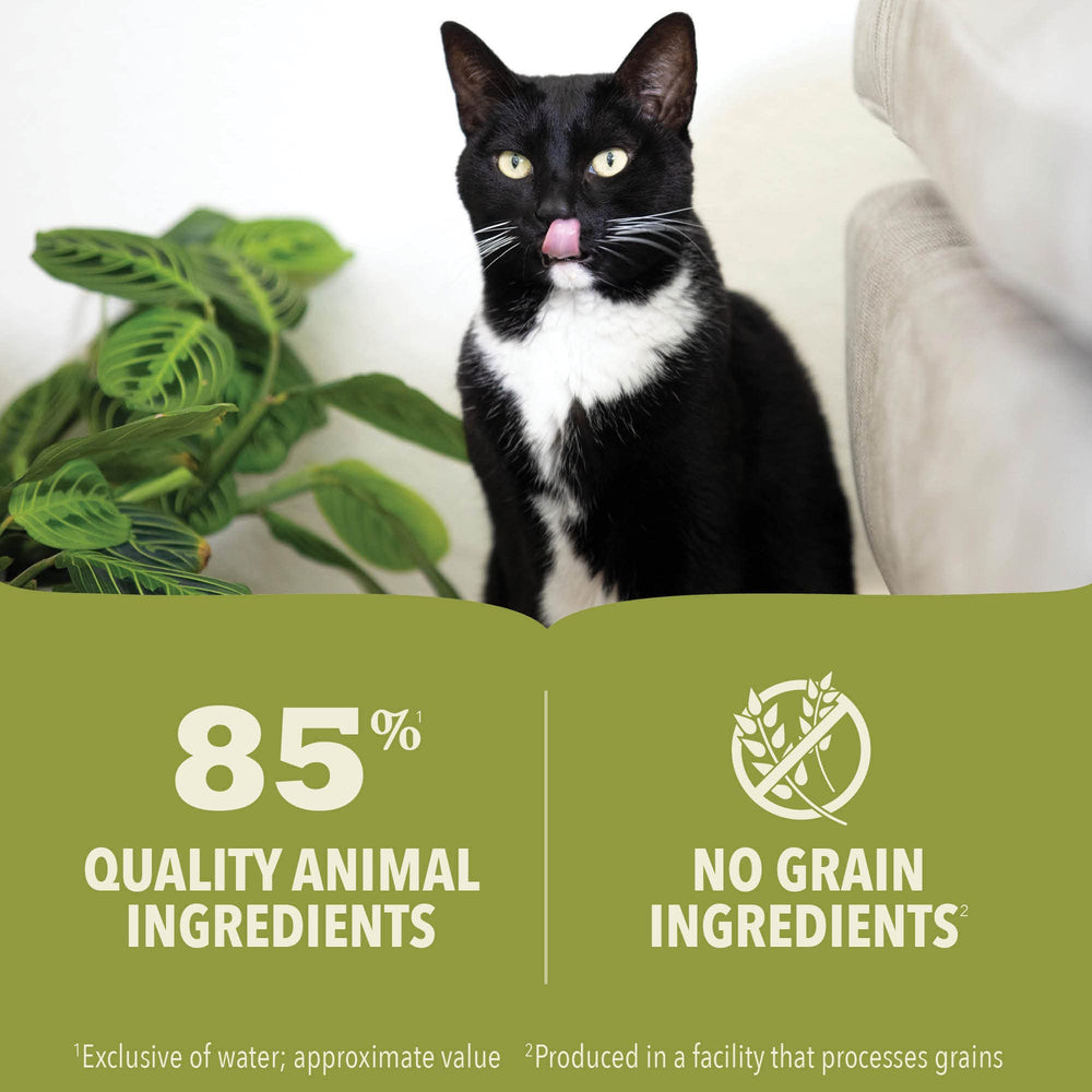 ACANA Premium Pate no-artificial-preservatives signals clean ingredients for cats.