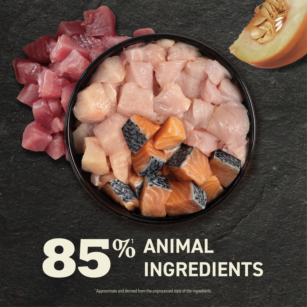 Close-up of smooth pâté texture from ACANA cat food