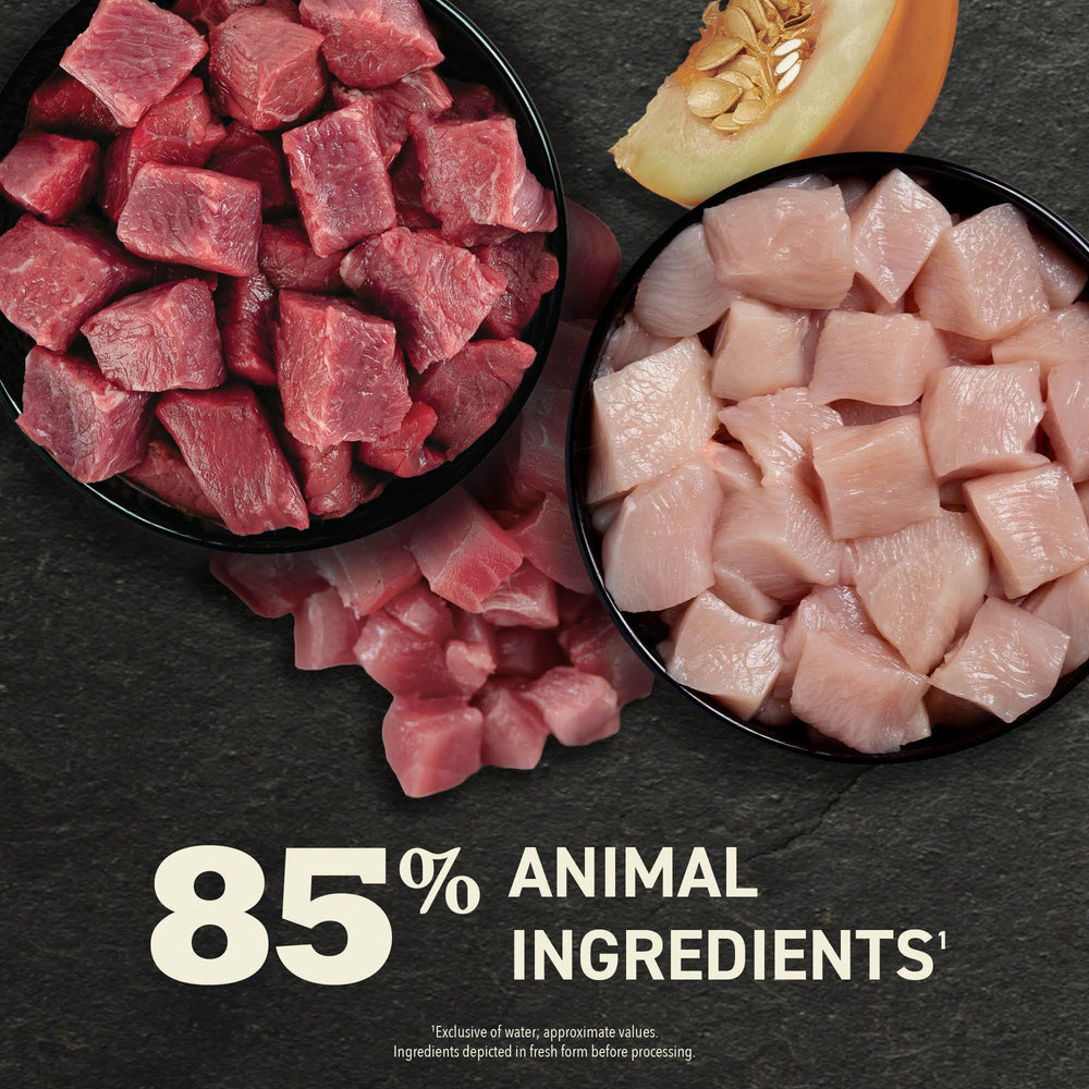 Close-up of glossy ACANA pâté texture to entice cats at mealtime.