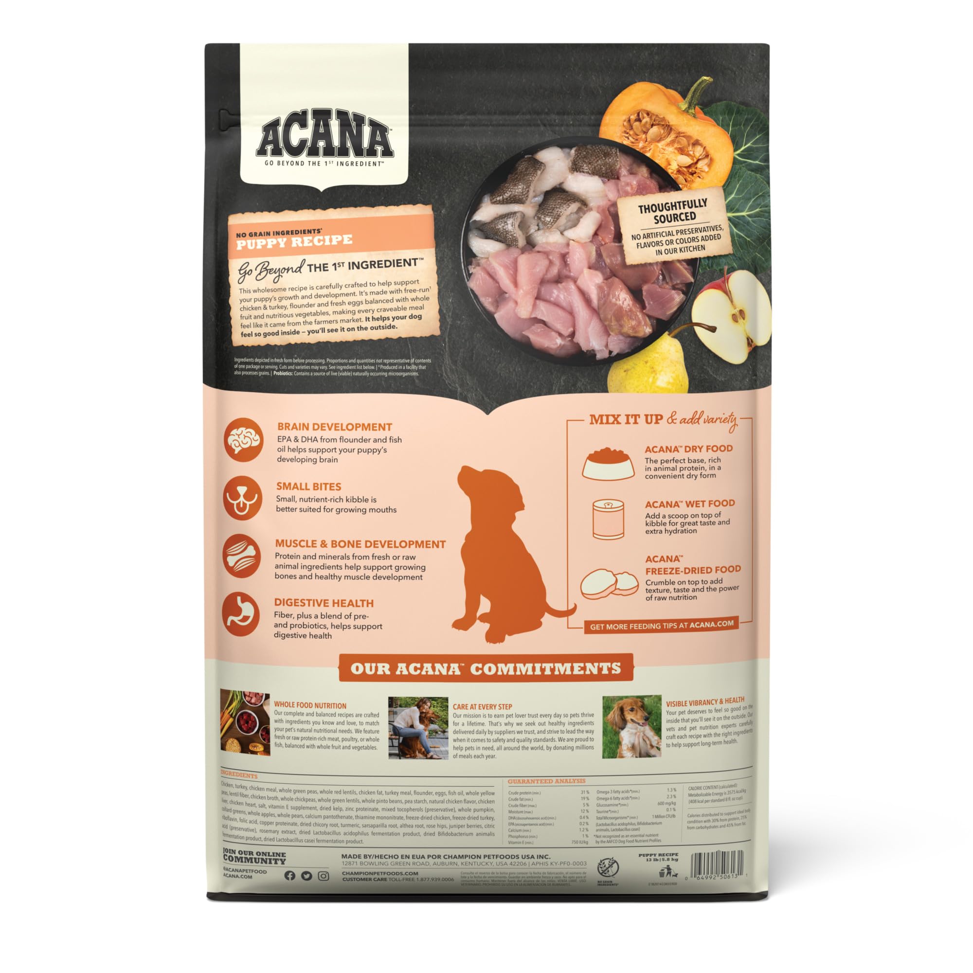 ACANA Puppy Recipe kibble closeup highlighting protein-rich bites