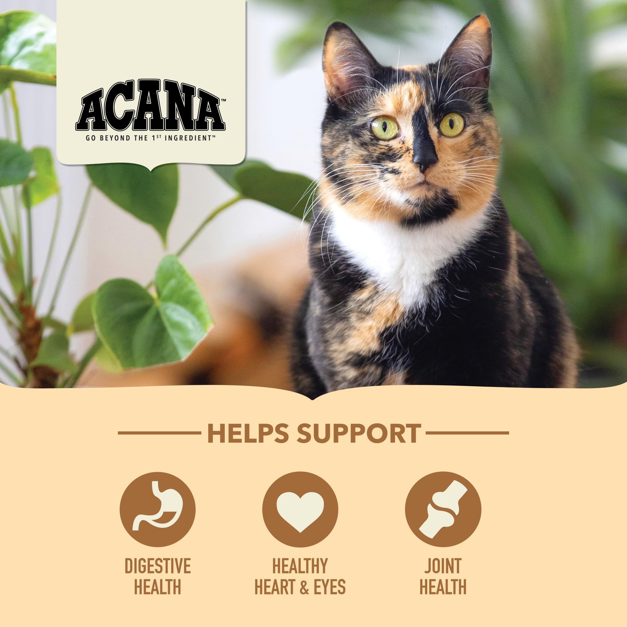 ACANA Senior Entrée high-protein 65% animal ingredients highlight