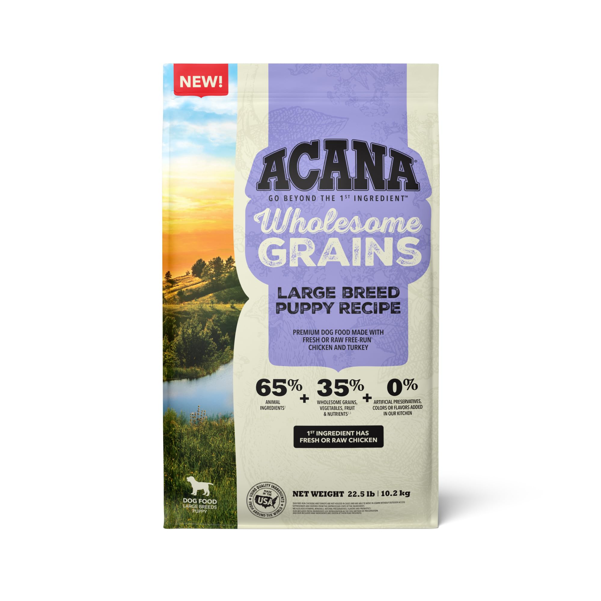 ACANA Wholesome Grains Large Breed Puppy bag front view promotes healthy growth.