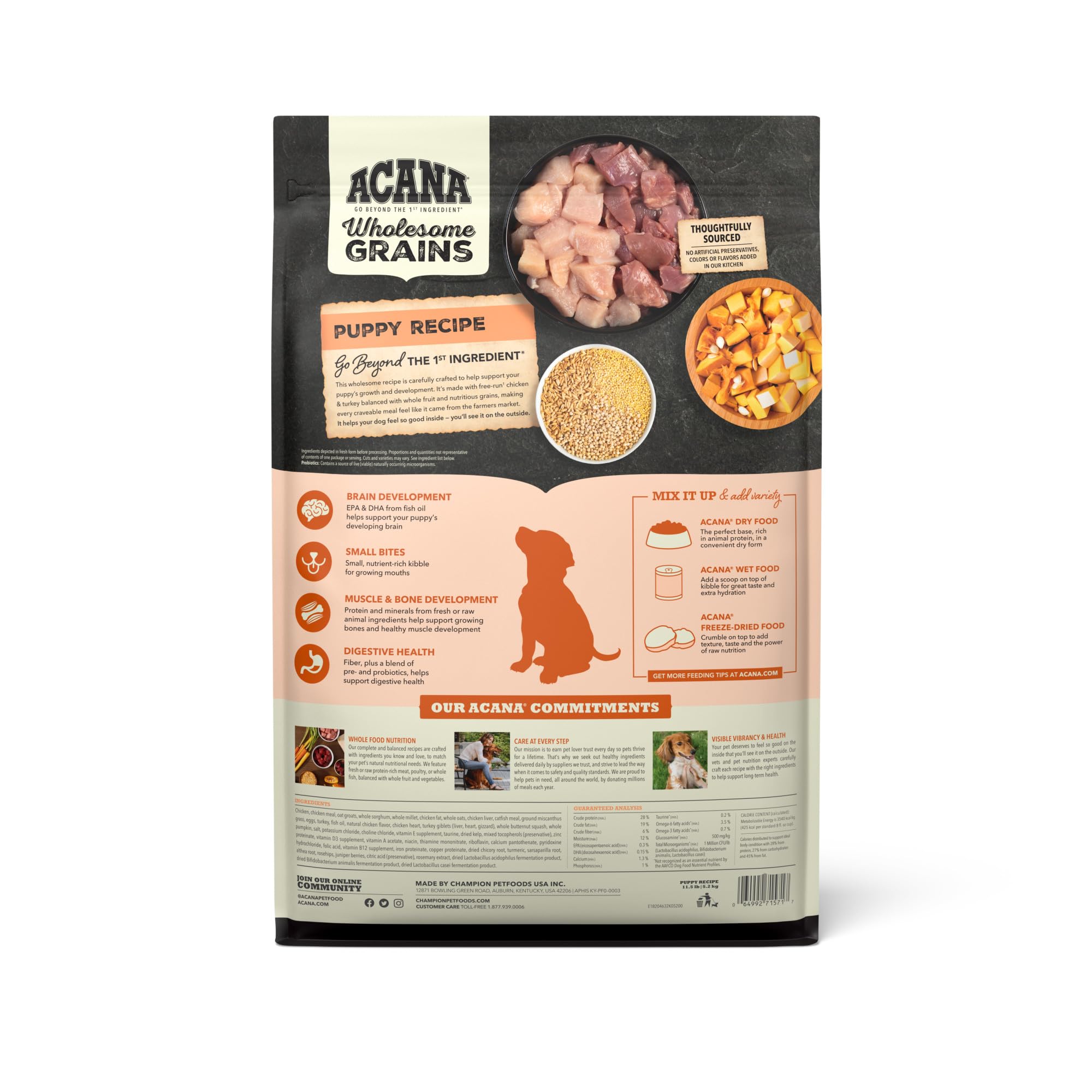 ACANA Wholesome Grains Puppy kibble close-up shows grain blend and protein-rich bites for strong bones.