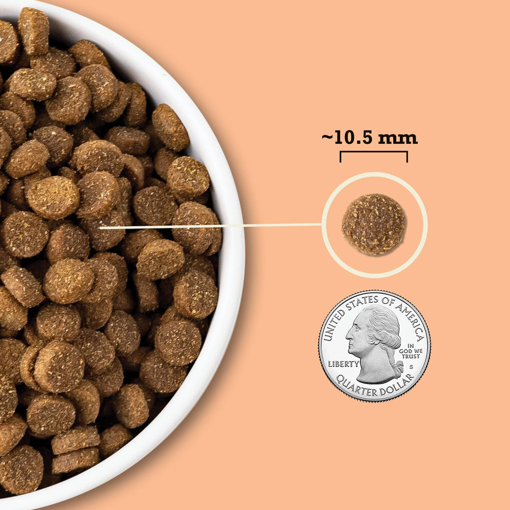 ACANA prebiotics and probiotics support gut health alongside fiber-rich grains.