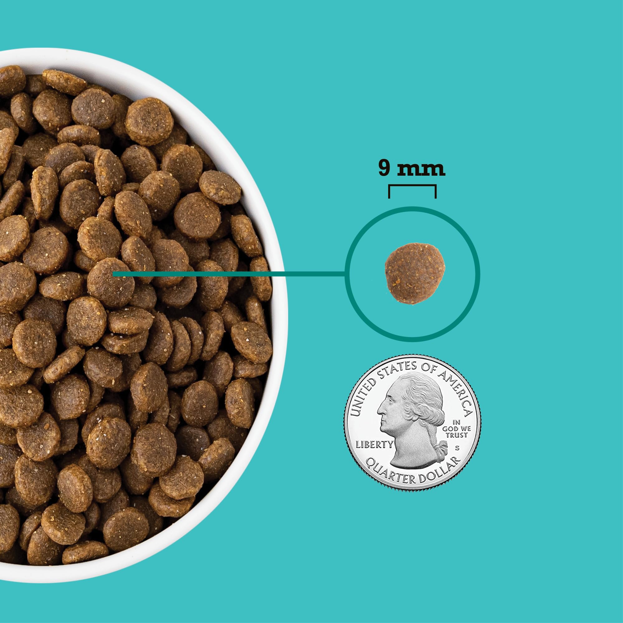 ACANA Wholesome Grains Puppy packaging with fresh vegetables and fruits conveying balanced nutrition.