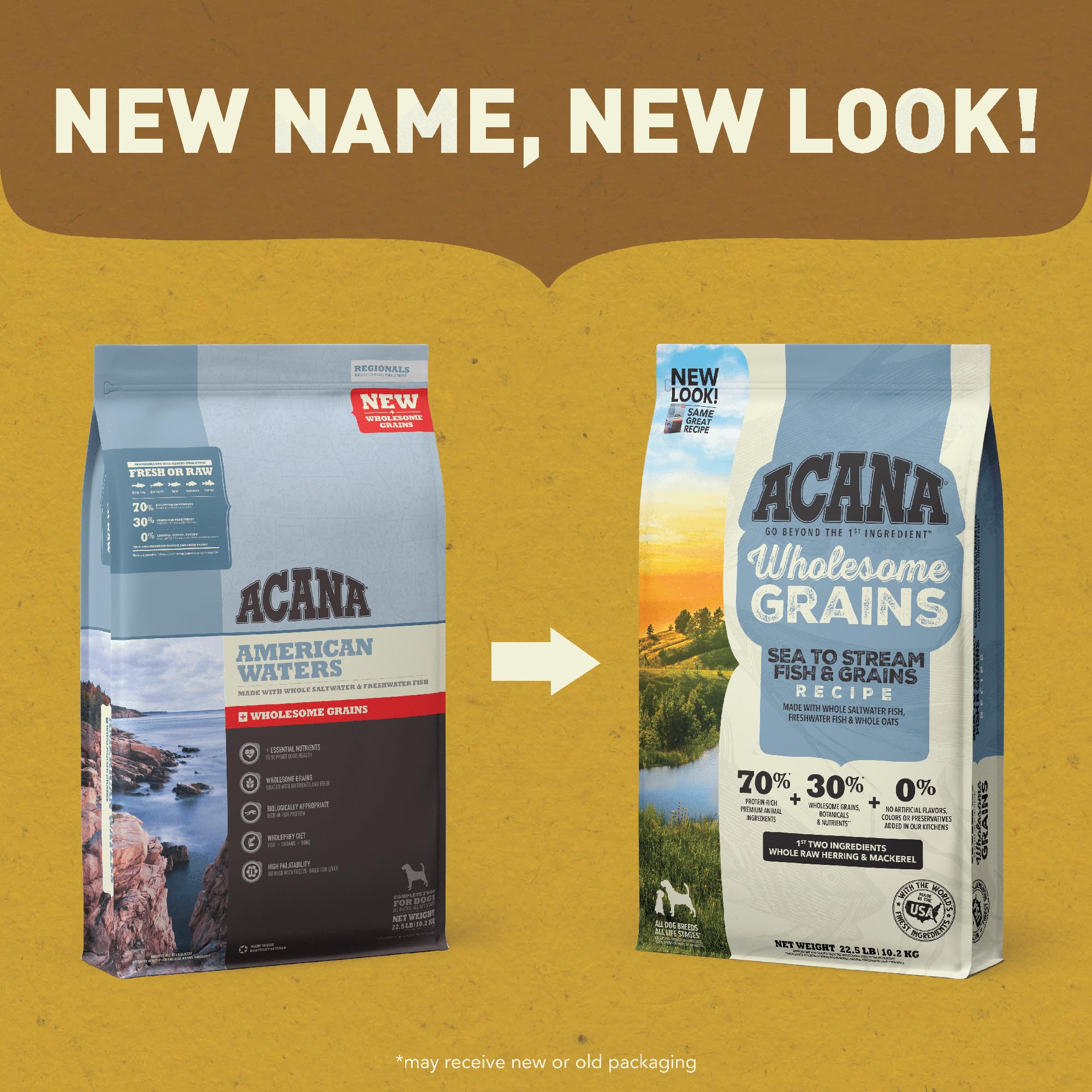 ACANA Wholesome Grains Sea to Stream serving suggestion for meals with dog.