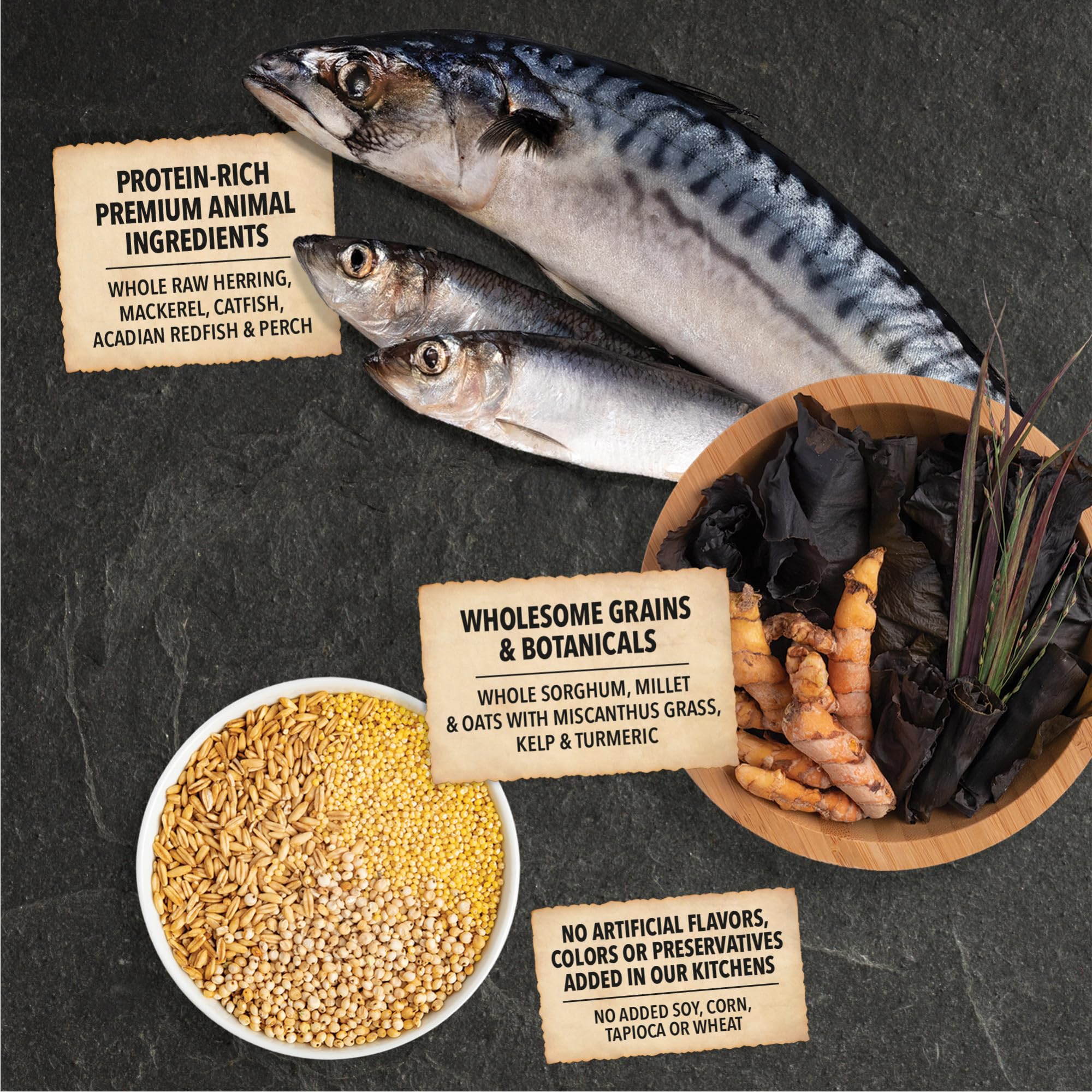 ACANA Wholesome Grains Sea to Stream grain blend with oats sorghum and millet.