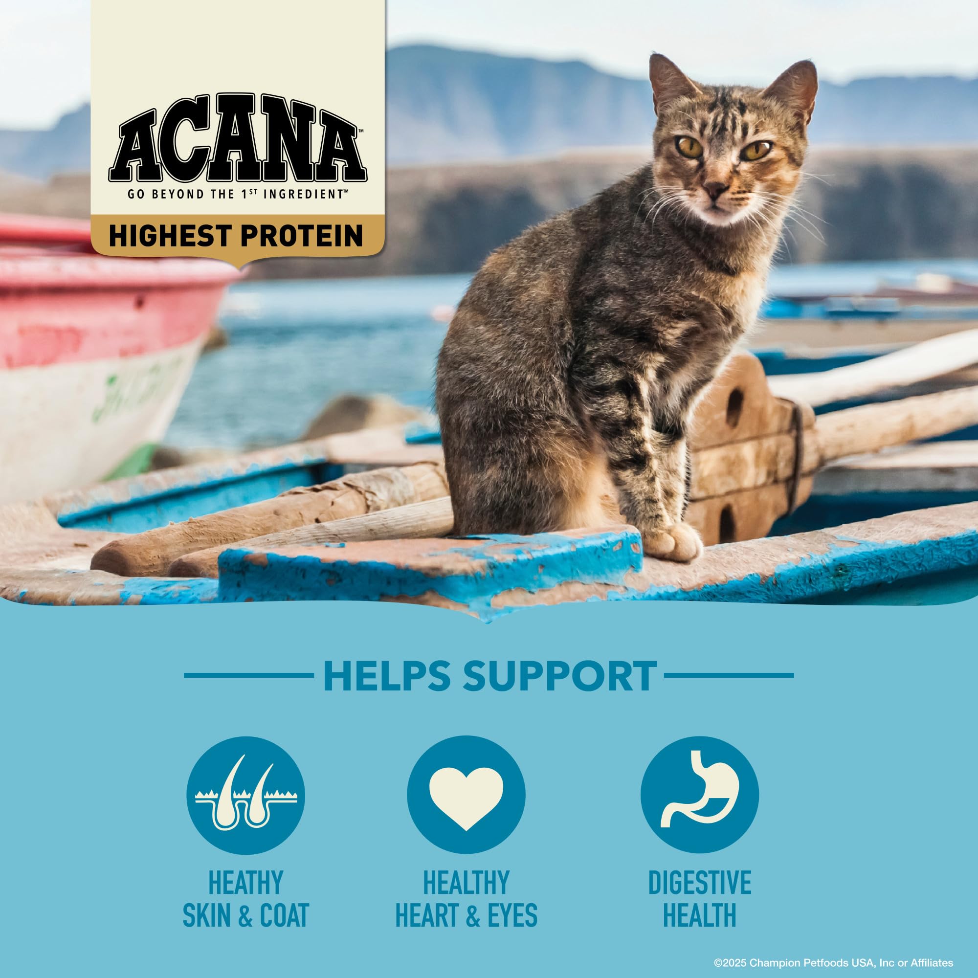 ACANA Wild Atlantic haddock kibble showcasing fish-forward recipe for variety.
