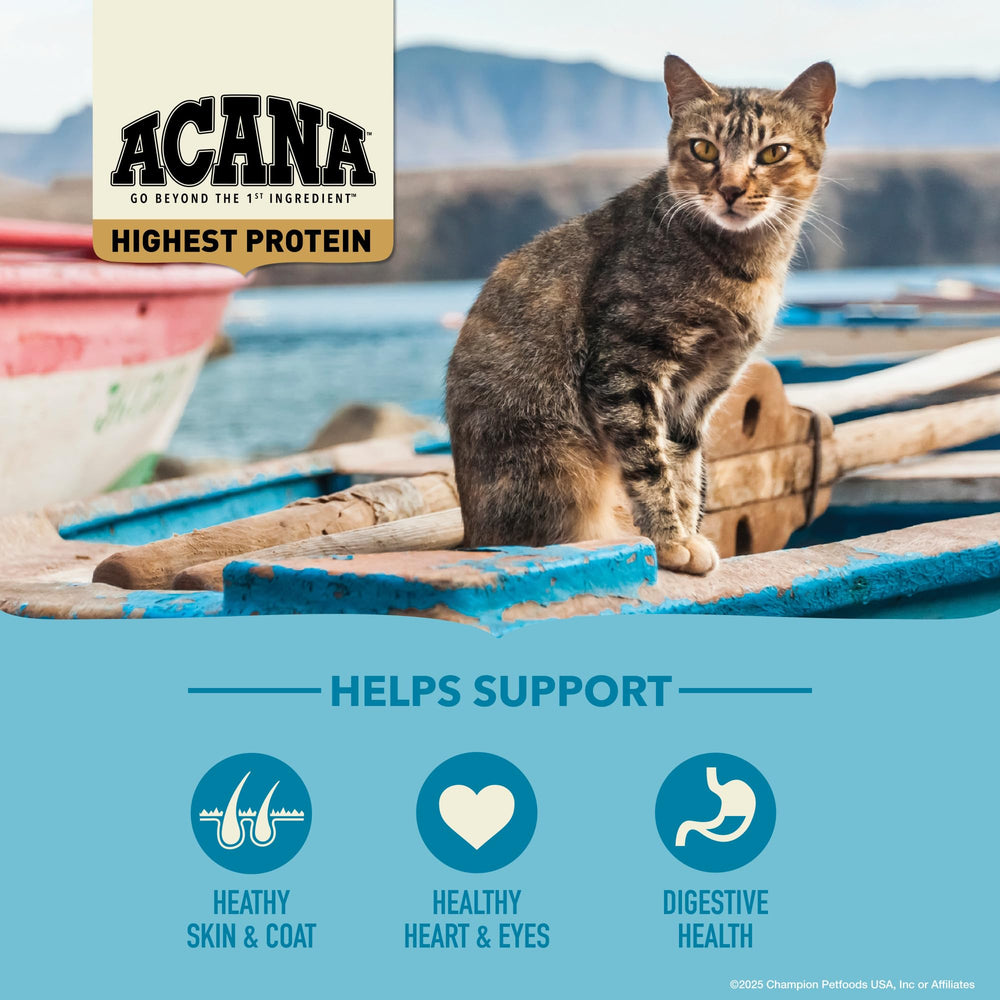 ACANA Wild Atlantic haddock kibble showcasing fish-forward recipe for variety.