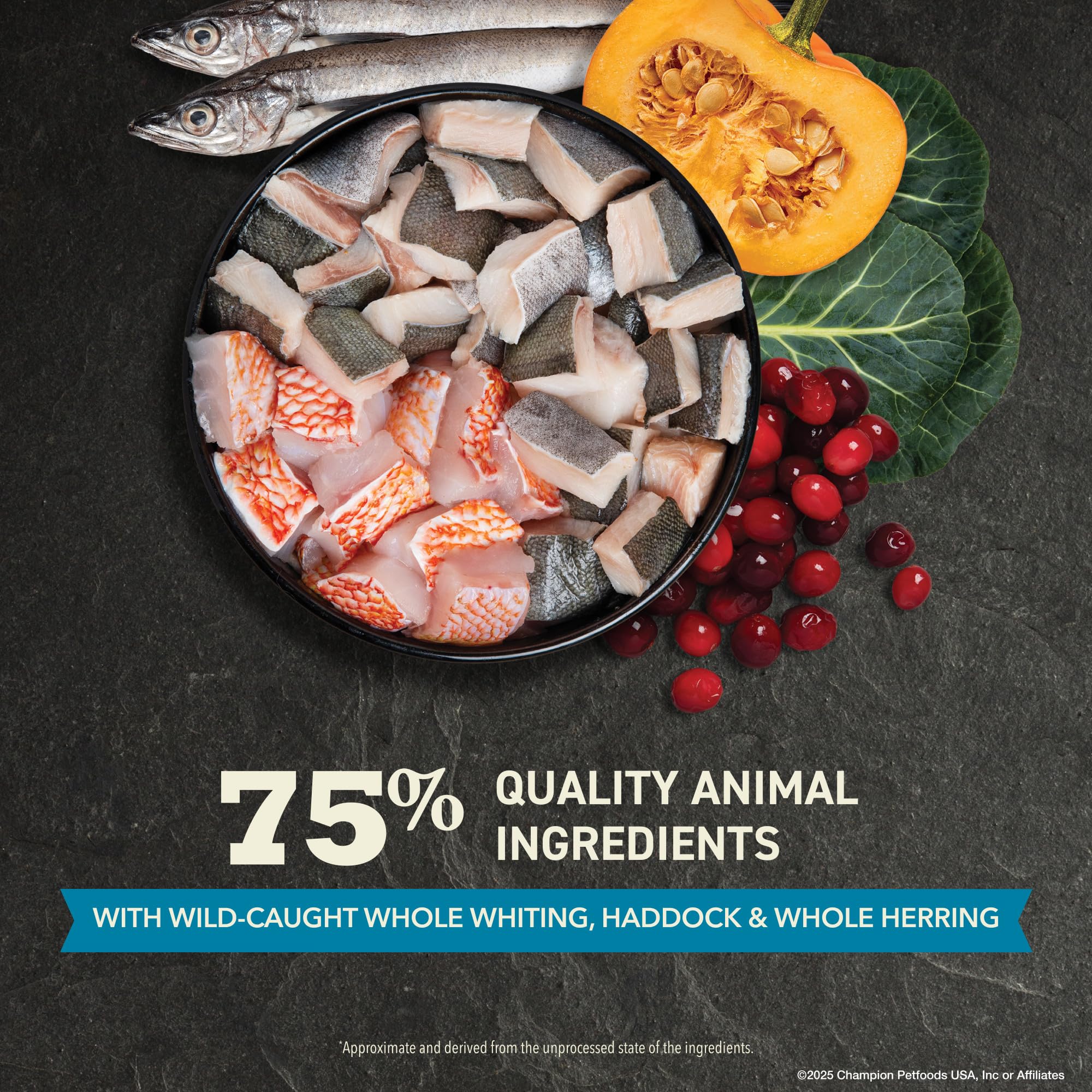 ACANA Wild Atlantic herring and Acadian redfish kibble emphasizing omega-3 richness.
