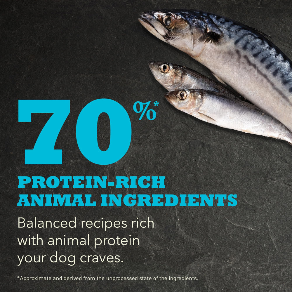 ACANA Wild Atlantic Recipe fish ingredients highlighting protein-rich sources.