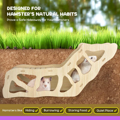 AccEncyc hamster hideout nestled in bedding creates a secure, cozy cave.