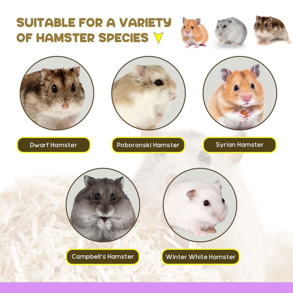 AccEncyc versatile wooden tunnel suits multiple small pets.