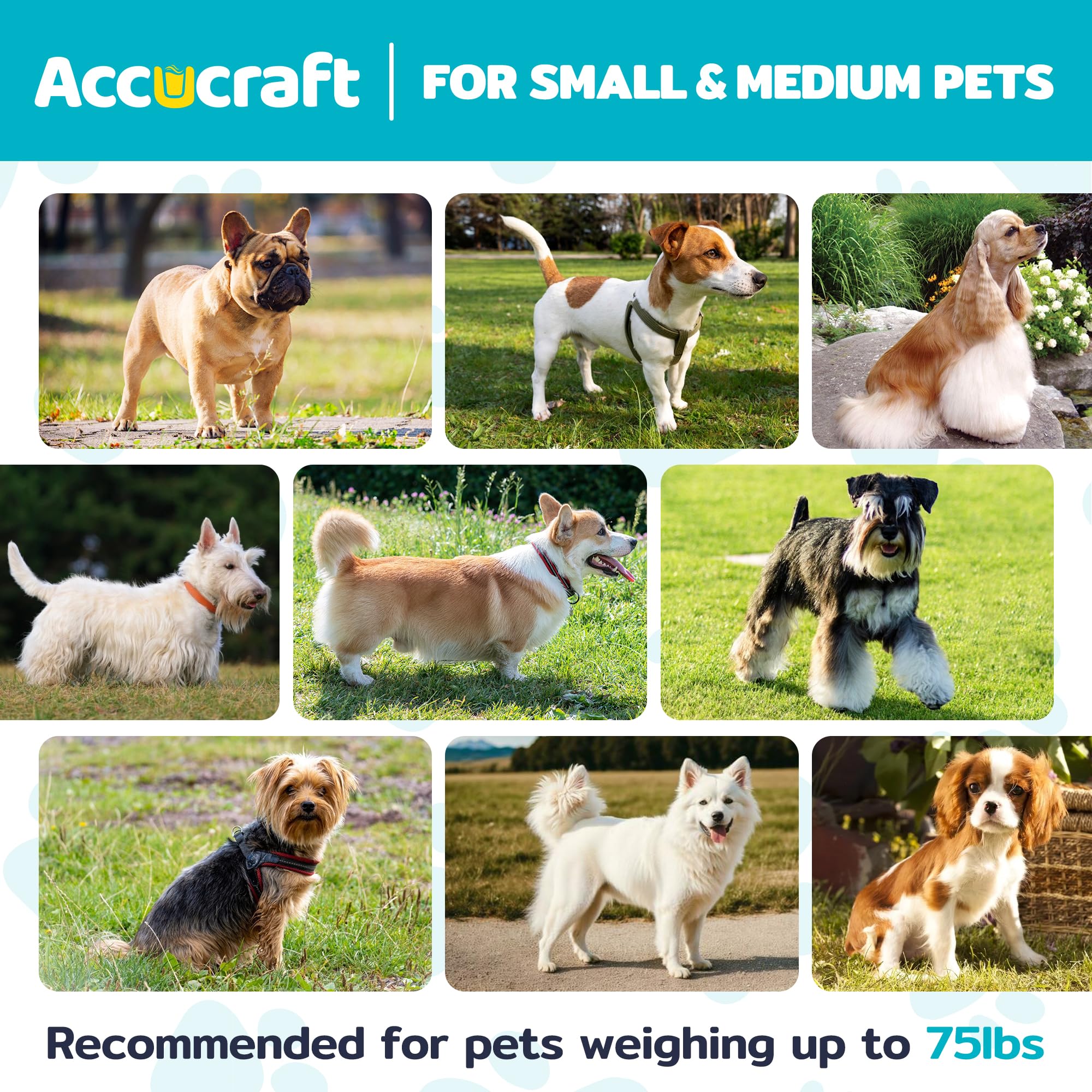 ACCUCRAFT Dog Bath Tub roomy capacity supports water-assisted baths for pets.