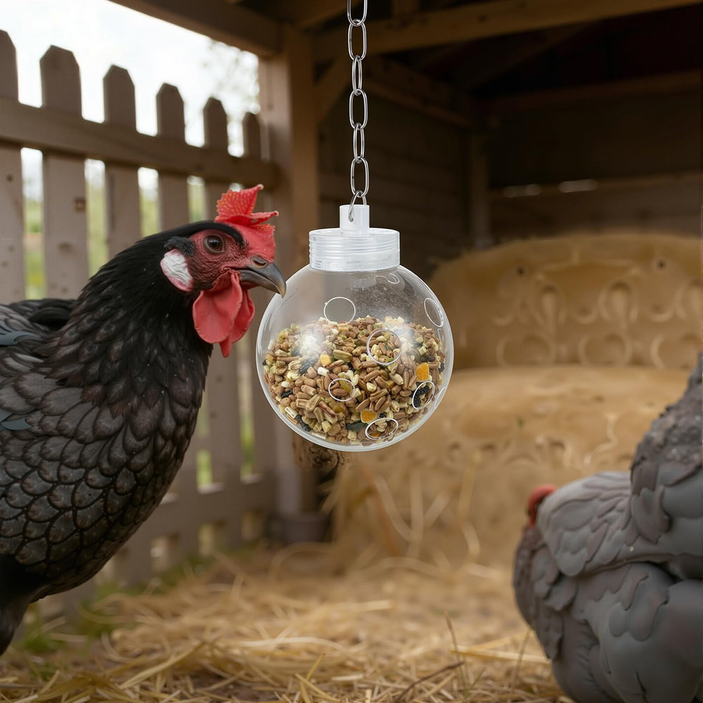 Acellegic coop toy promotes natural pecking and activity