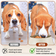 Acellegic dishwasher-safe bowl for easy cleanup after meals.