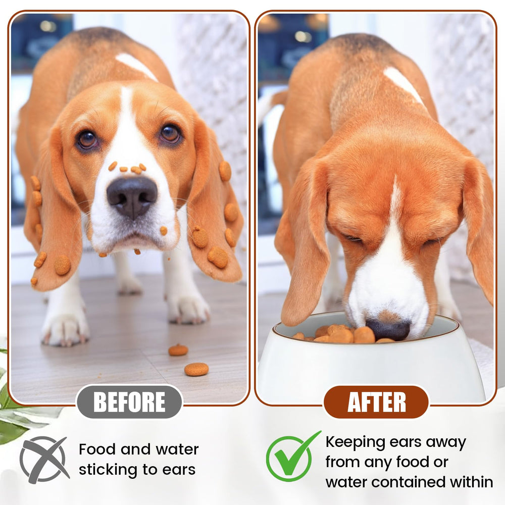 Acellegic 37oz bowl ideal for large dogs and mixed meals.