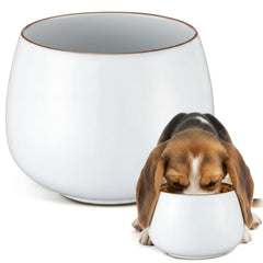 Acellegic dog bowl long ears design keeps ears clean during meals.