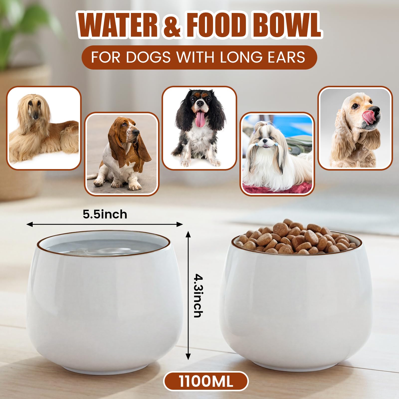 Acellegic dog bowl no spill prevents floor mess during feeding.