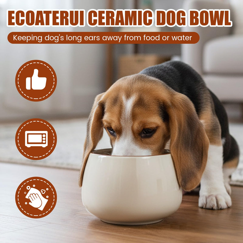 Acellegic 37oz beige bowl suits large breeds and wet or dry food.