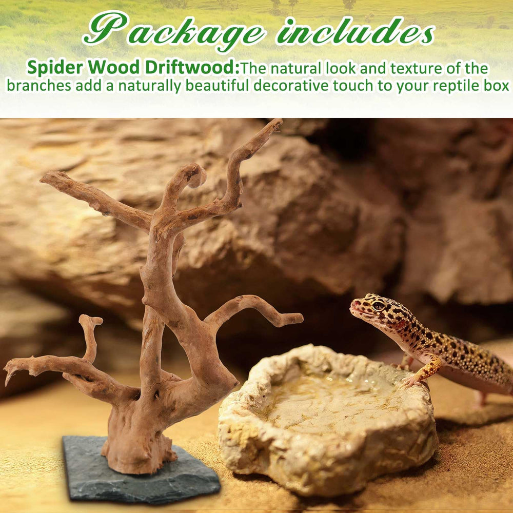 AceOrbit driftwood on slate supports enriching terrarium ambience and safe climbing surfaces.