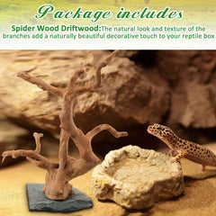 AceOrbit driftwood on slate supports enriching terrarium ambience and safe climbing surfaces.
