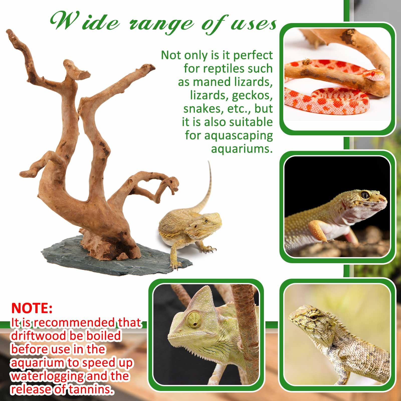 AceOrbit driftwood in aquarium setup offers natural hiding spots and aesthetic appeal.