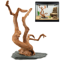 AceOrbit large spider wood on slate adds natural texture for aquascaping and habitat enrichment.
