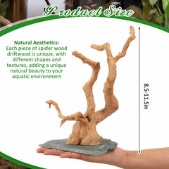 AceOrbit spider wood branching structure enhances aquarium decor and climbing opportunities for reptiles.