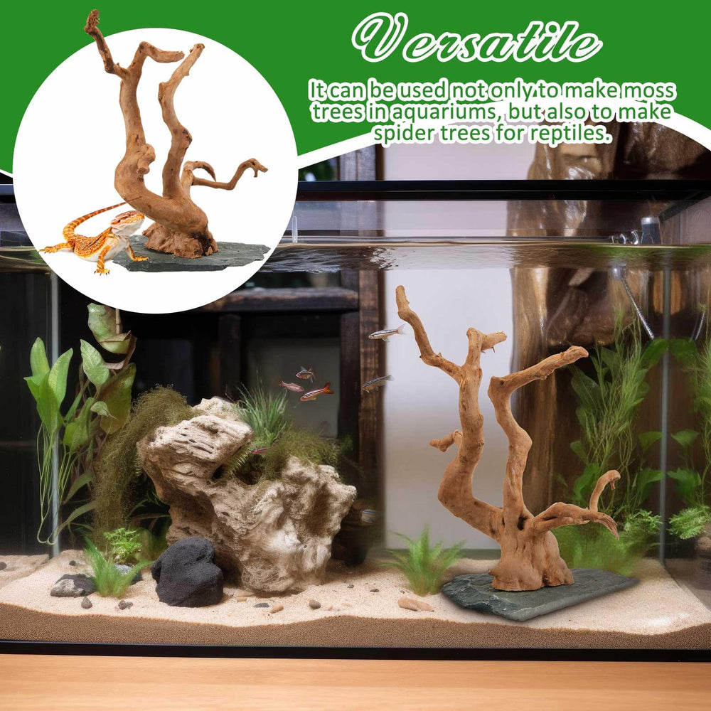 AceOrbit wood branching tank decor provides a visually authentic, versatile habitat feature.