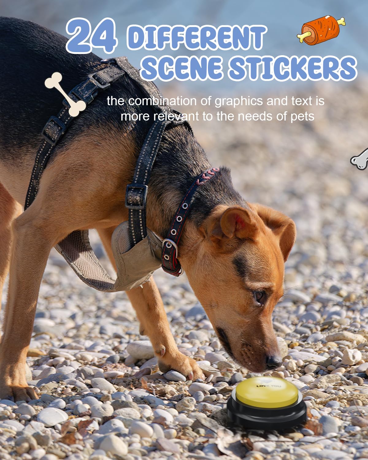 Acools recordable dog buttons deliver clear playback for commands.