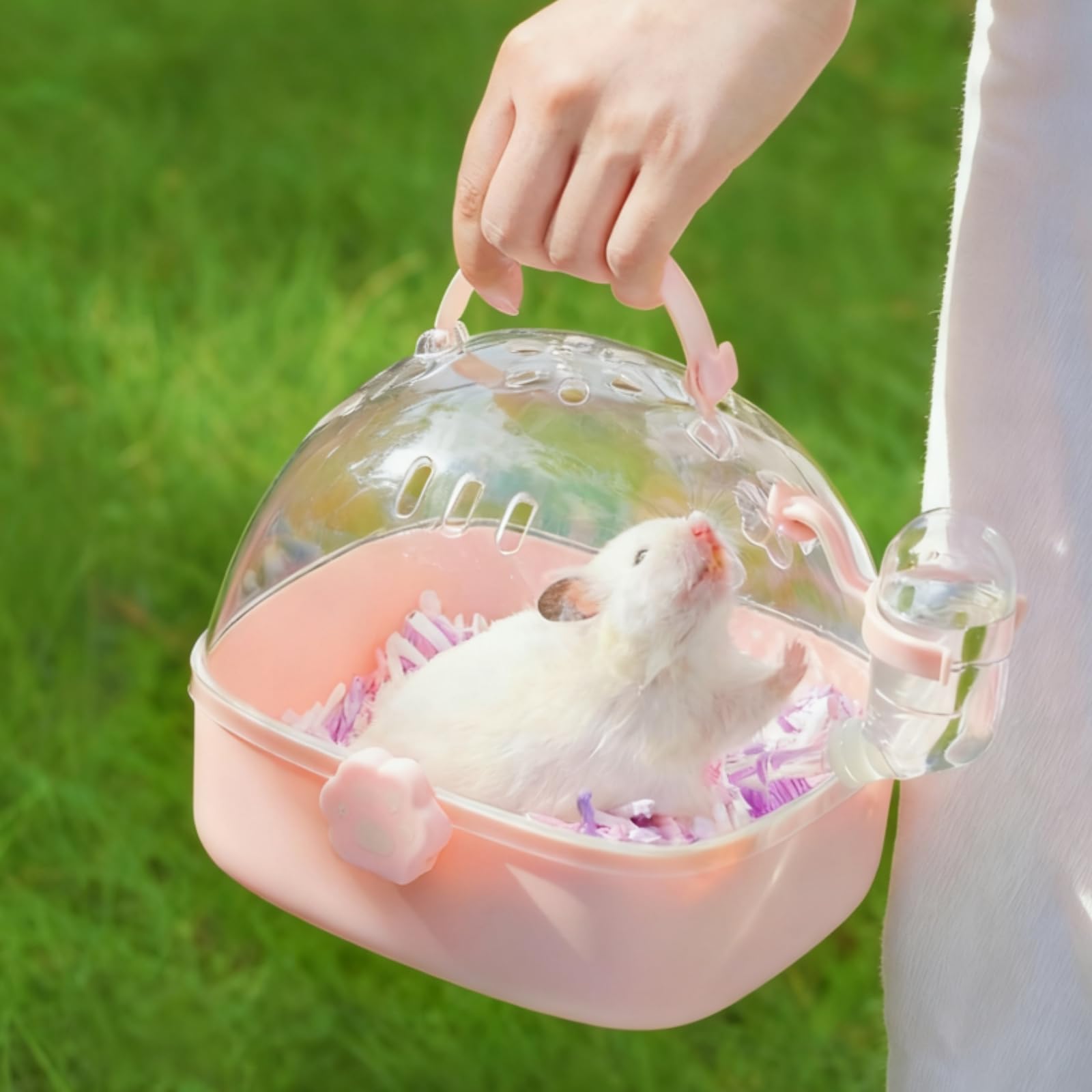 Acshio small-pets compatibility: fits gerbils, hamsters, rats, and more