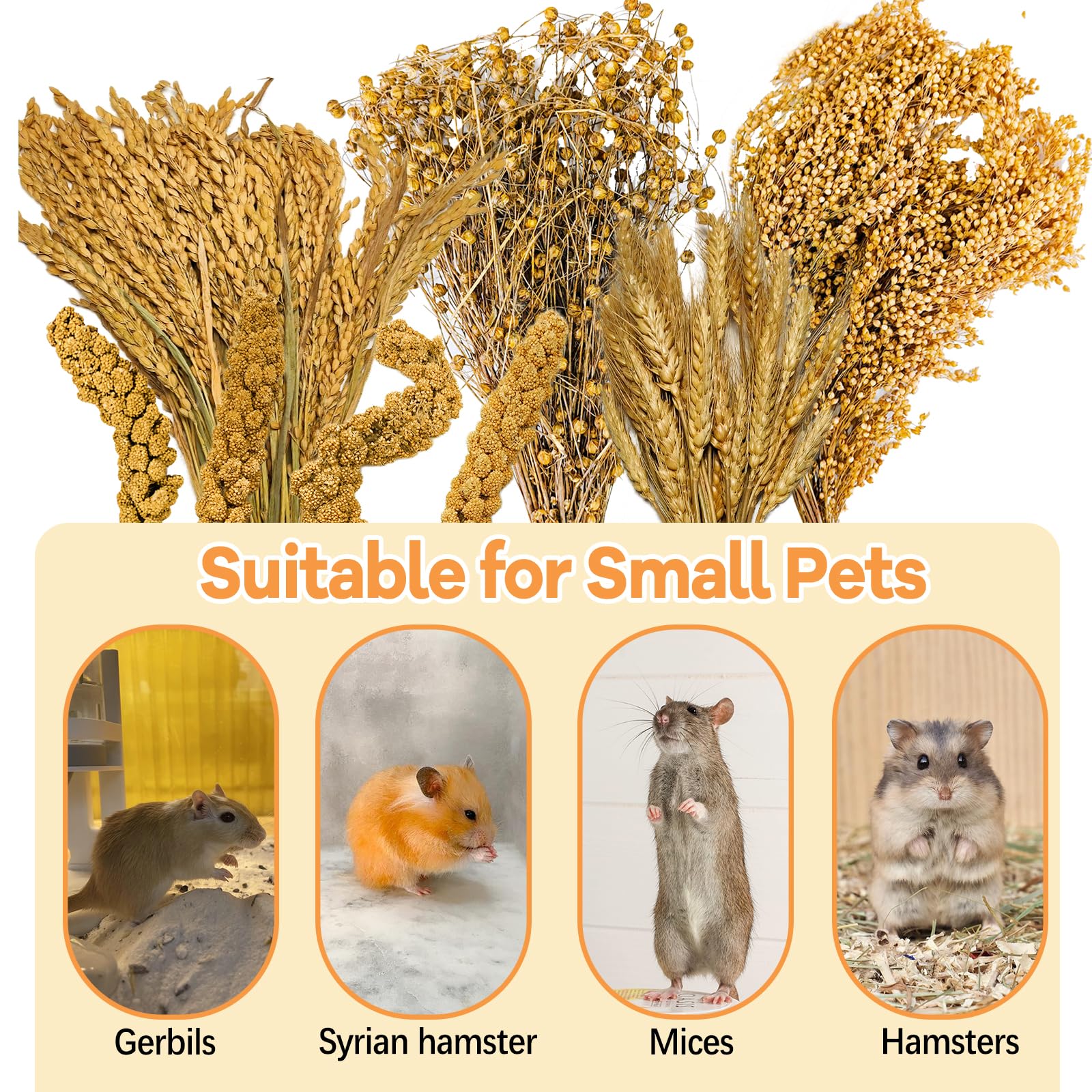 Acsist dedicated pet decor for hamsters and gerbils adds safe color to the cage.