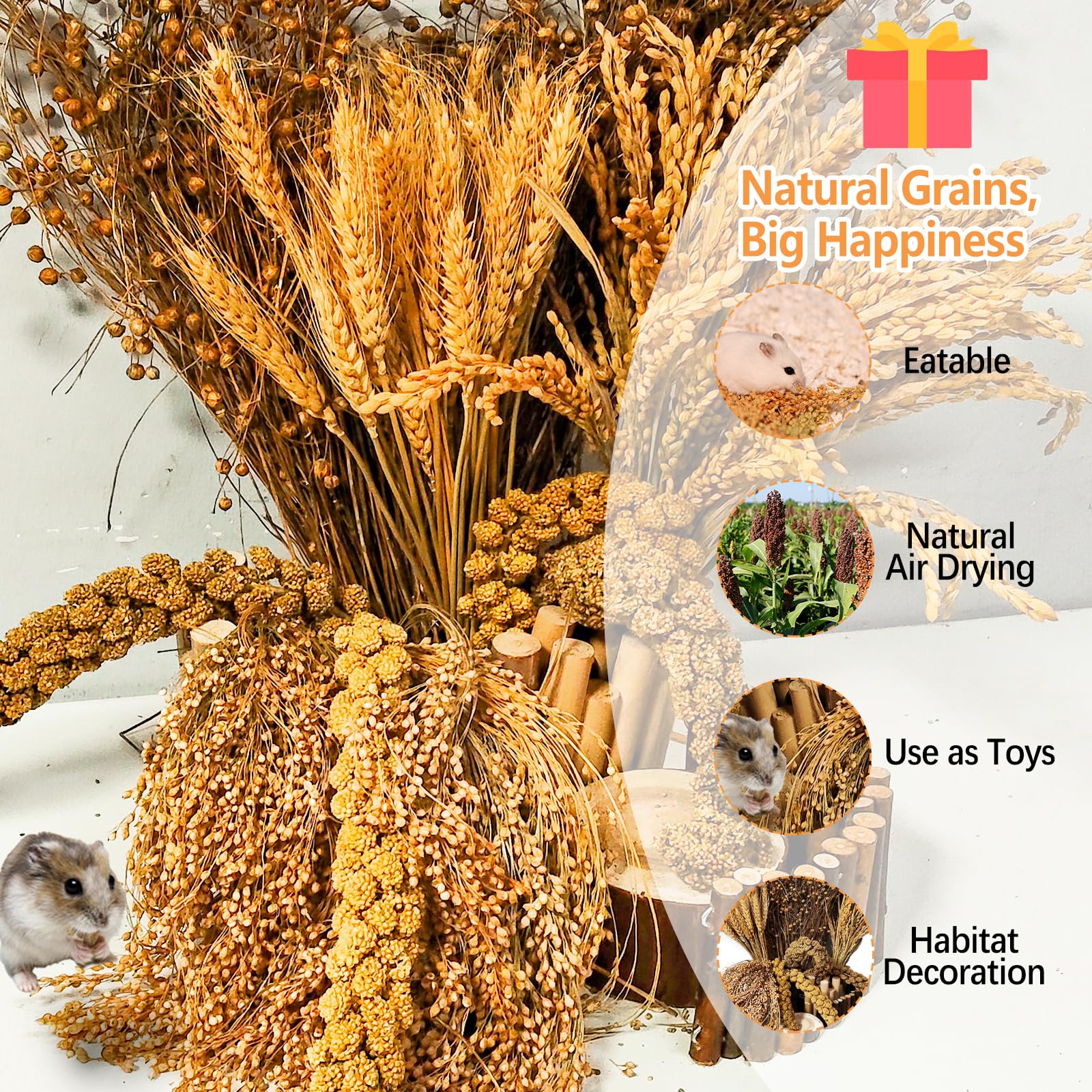 Acsist edible plant mix gives chew-friendly habitat decorations and treats.