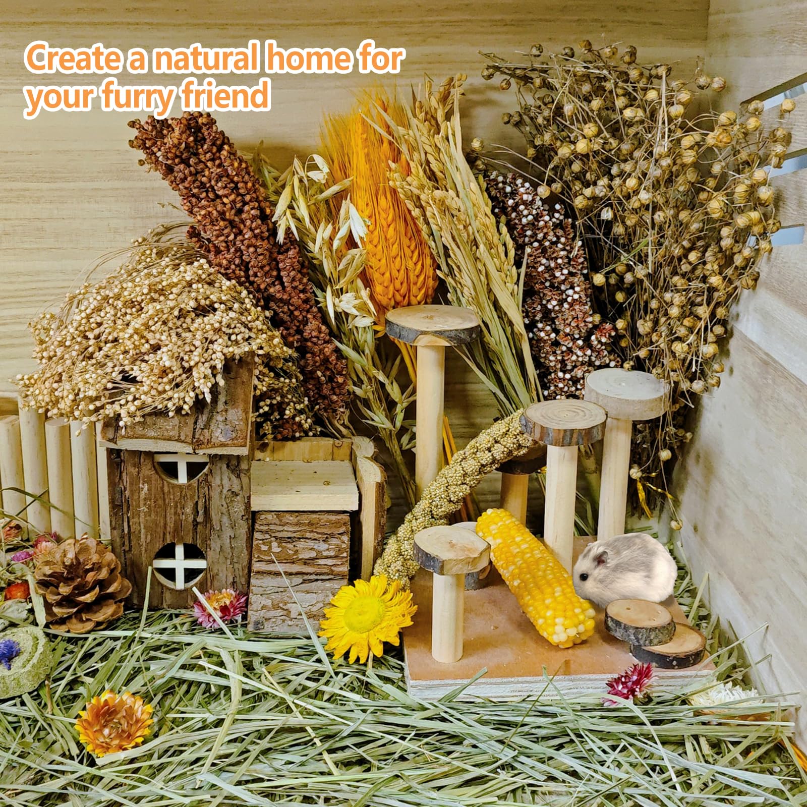 Acsist care reminder pack helps keep decorations clean and safe for pets.