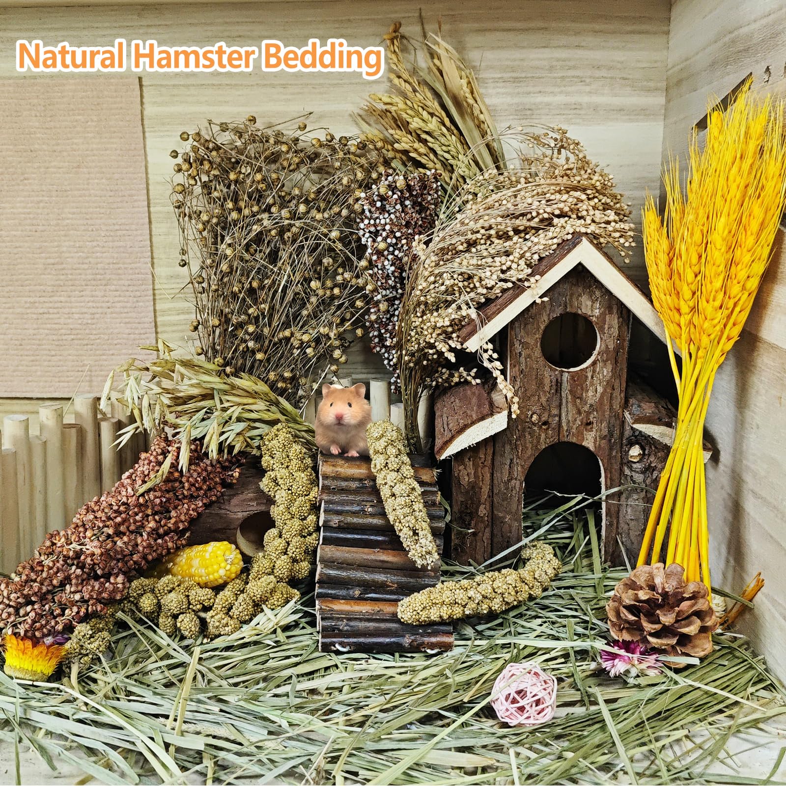 Acsist colorful cage decoration brings nature tones and visual interest to small animal homes.