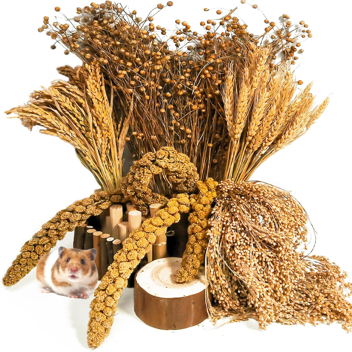 Acsist hamster grain herb habitat decor adds natural color for enriching cage aesthetics.