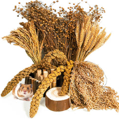 Acsist hamster grain herb habitat decor adds natural color for enriching cage aesthetics.
