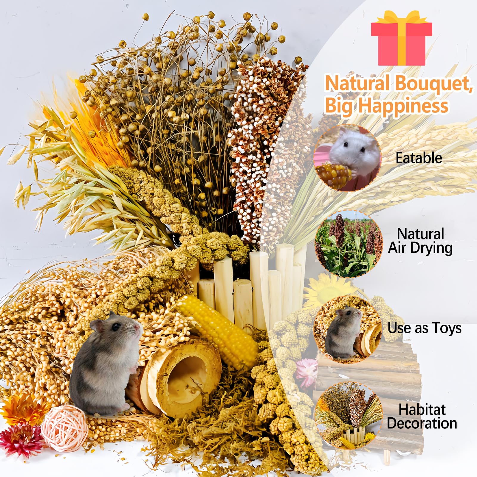 Acsist natural grains variety provides tasty chews and exploration opportunities for small pets.