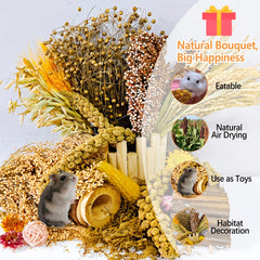 Acsist natural grains variety provides tasty chews and exploration opportunities for small pets.