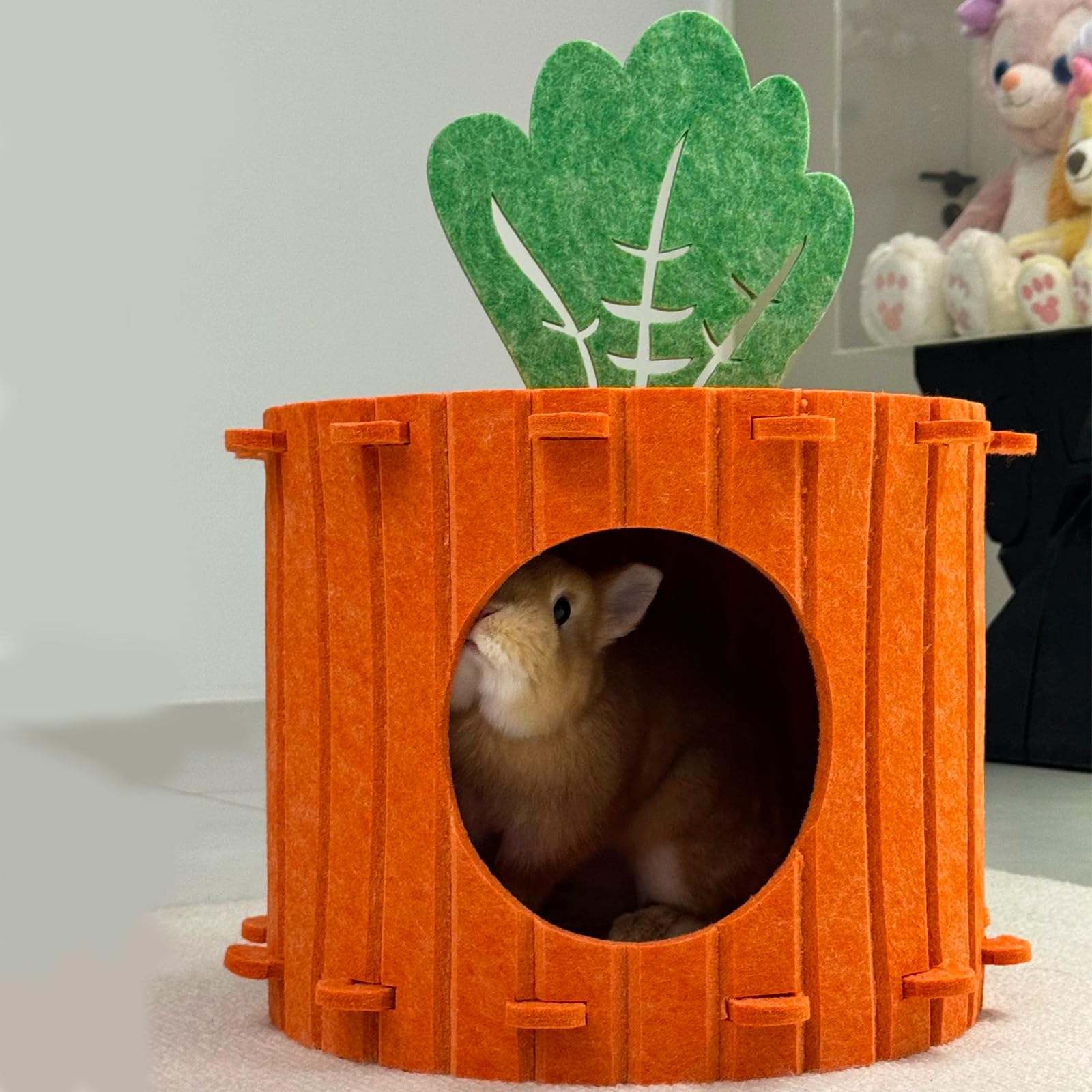 Acsist all in one pet hideout offers a stylish, functional retreat.
