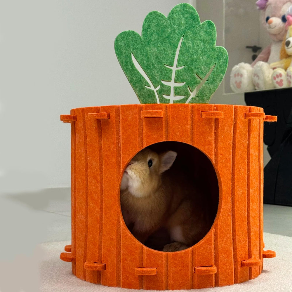 Acsist all in one pet hideout offers a stylish, functional retreat.