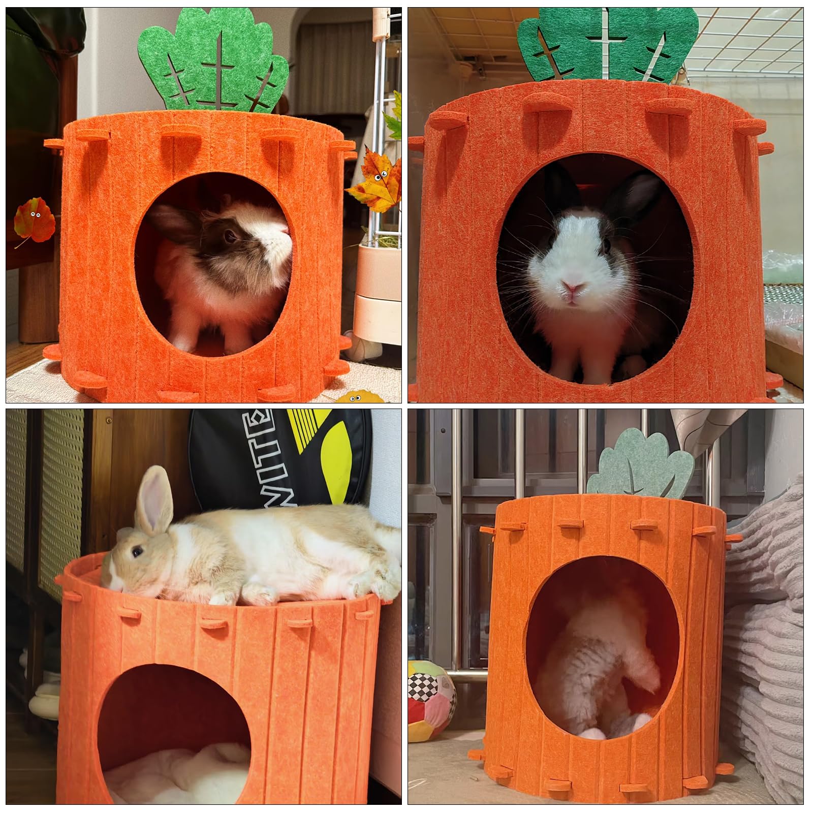 Acsist carrot theme decor adds charm to any cage while inviting play.