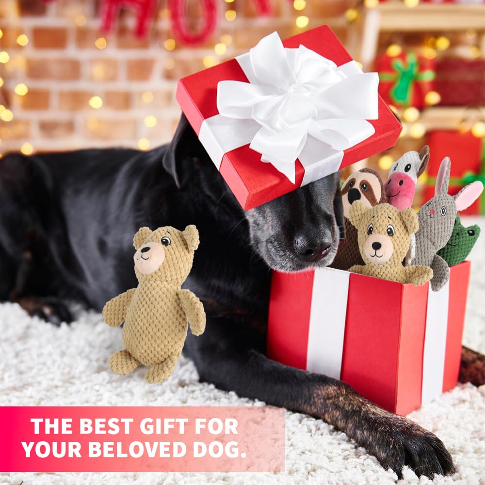 Act boldly gift-ready dog toy set for birthdays and holidays.
