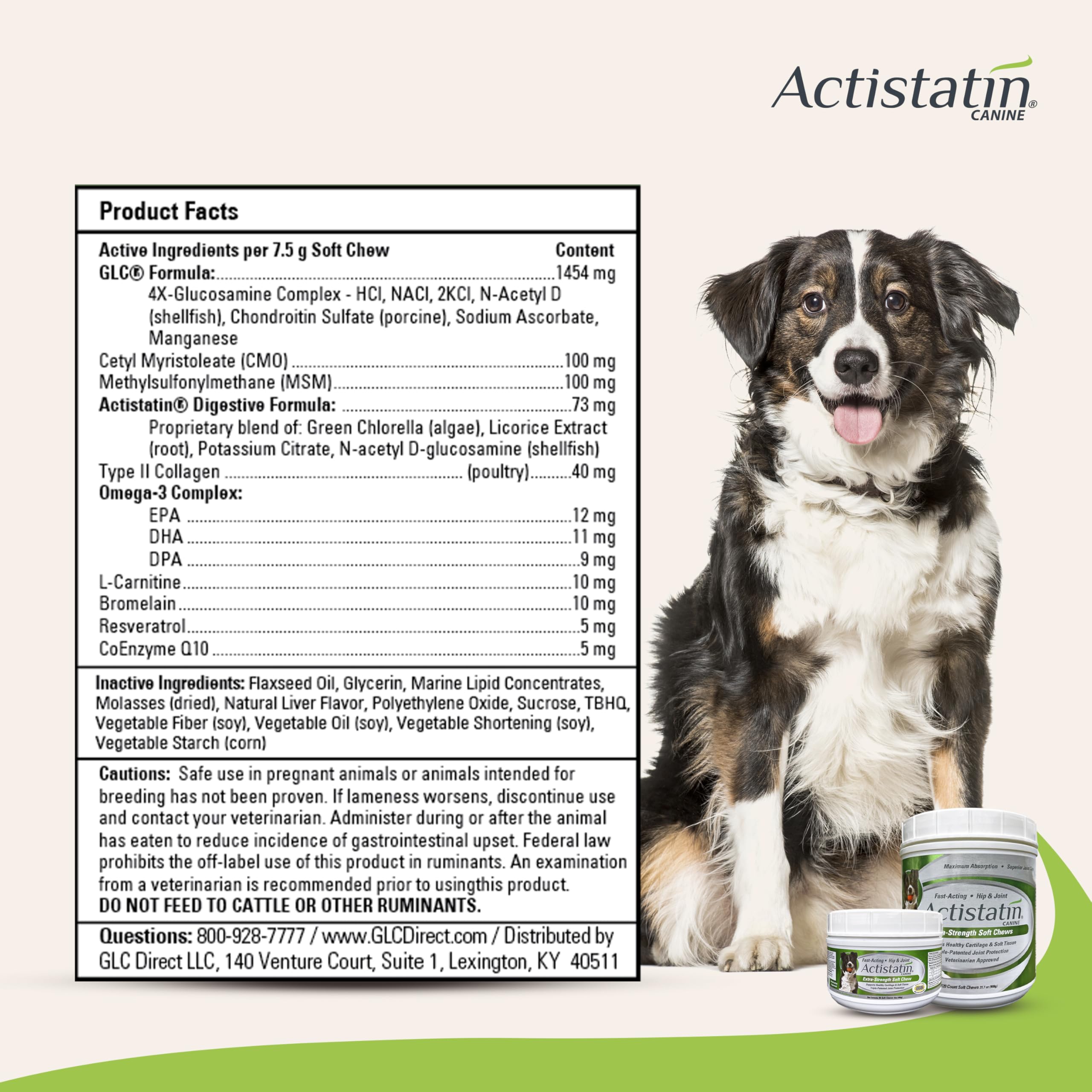 Actistatin Canine Large Dog Soft Chews bottle open with chews visible for easy serving.