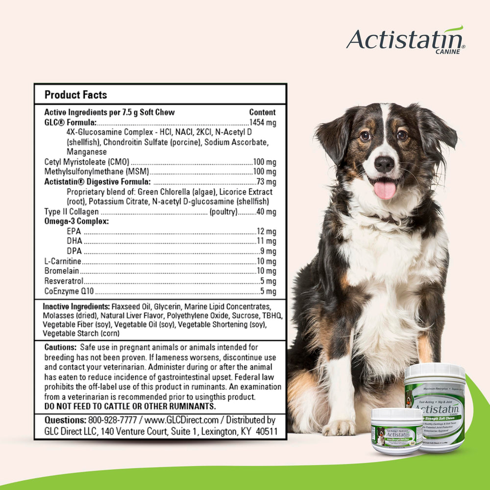 Actistatin Canine Large Dog Soft Chews bottle open with chews visible for easy serving.
