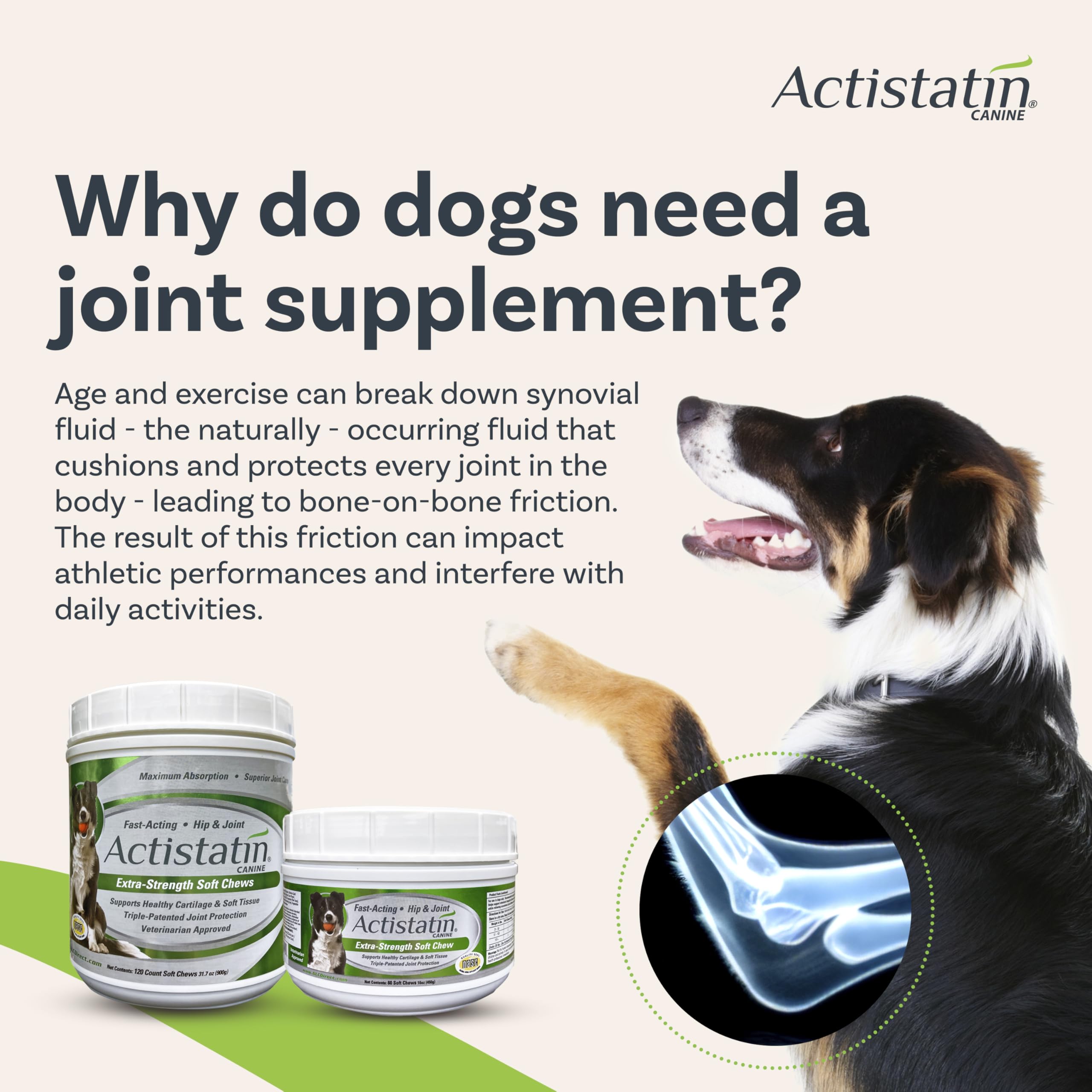 Actistatin Canine Large Dog Soft Chews in dish ready for daily joint care.