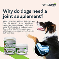 Actistatin Canine Large Dog Soft Chews in dish ready for daily joint care.
