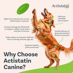 Actistatin Canine Large Dog Soft Chews texture close-up for palatable daily use.