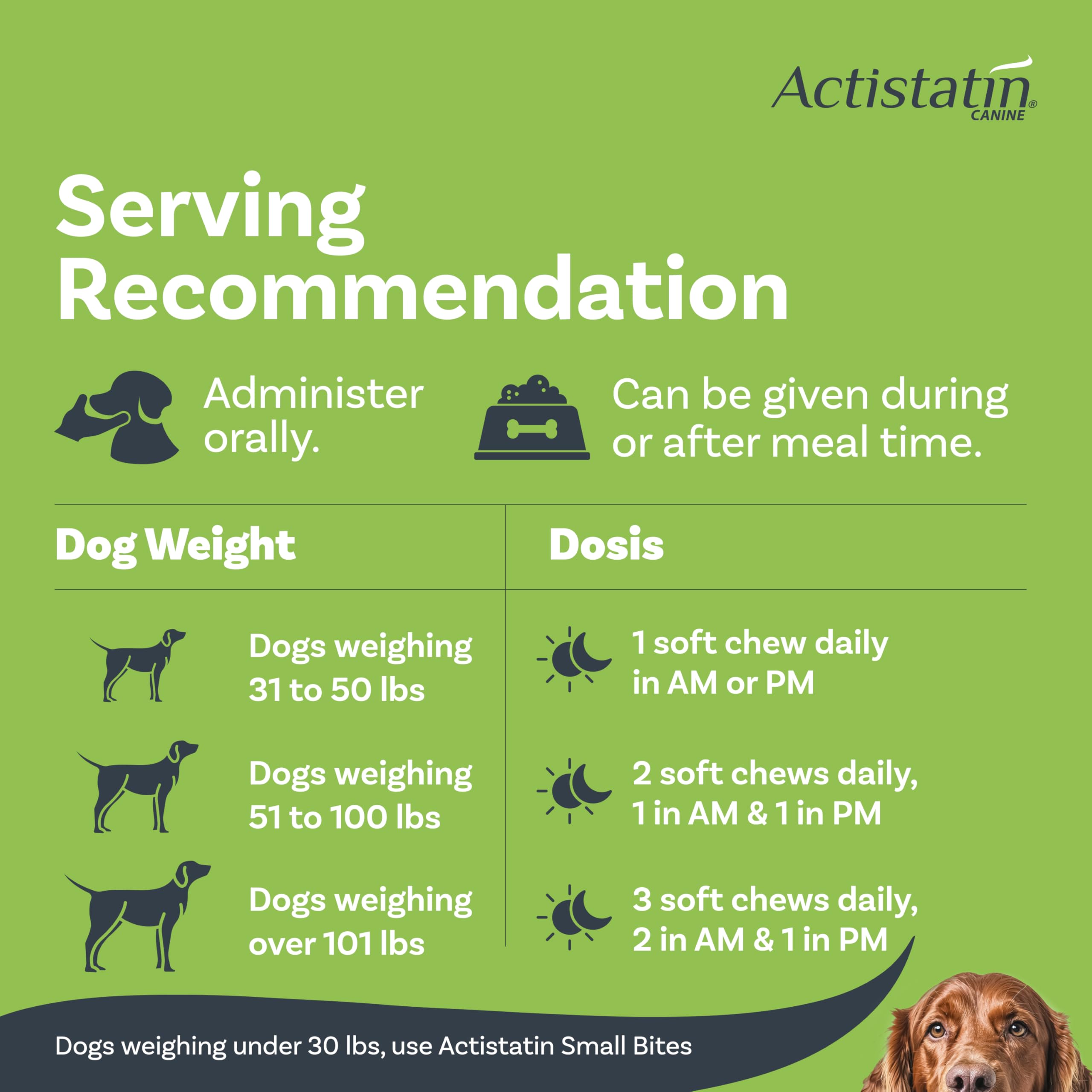 Actistatin Canine Large Dog Soft Chews in use with owner during daily routine.